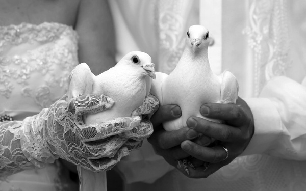 शादी - Puzzles